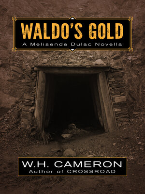 cover image of Waldo's Gold